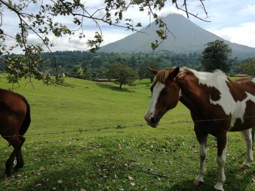 Casona Rustica & Bungalow La Fortuna Luaran gambar