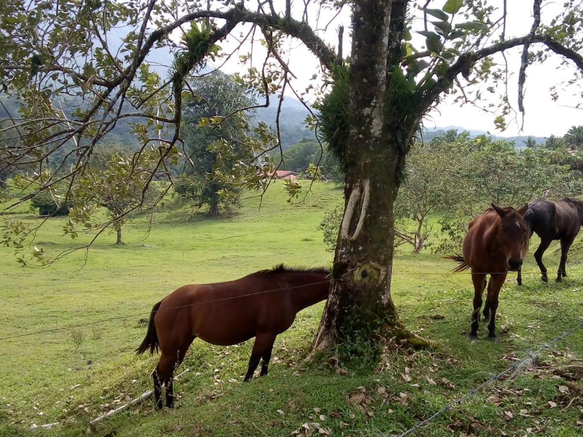 Casona Rustica & Bungalow La Fortuna Luaran gambar